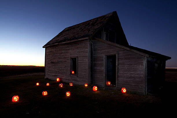 halloween manitoba - manitoba prairie landscape canada zdjęcia i obrazy z banku zdjęć