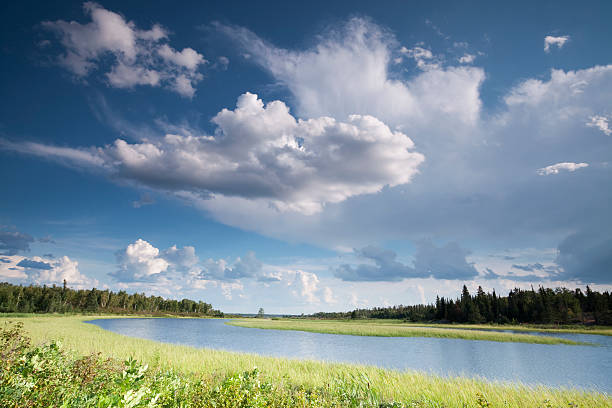 parque provincial de whiteshell, de manitoba - canada landscape manitoba lake - fotografias e filmes do acervo