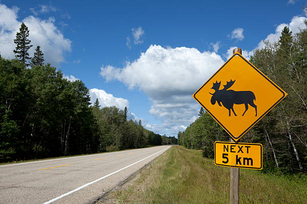 ライディングマウンテン国立公園 - moose crossing sign ストックフォトと画像