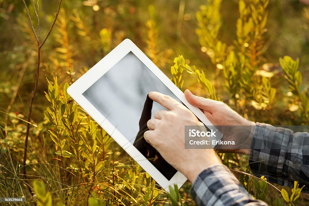 Using Digital Tablet Man using Digital Tablet on Sunset Adult Stock Photo