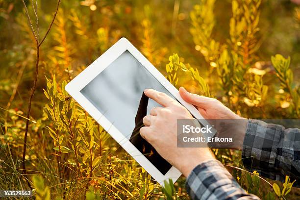 Using Digital Tablet Stock Photo - Download Image Now - Adult, Blogging, Business
