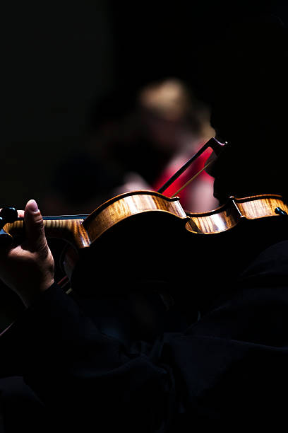 istock Back view of violinist in dark composition with copy space 163529834