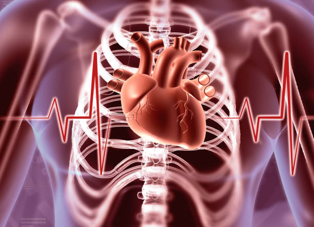 istock Human heart and electrocardiogram 1635320134