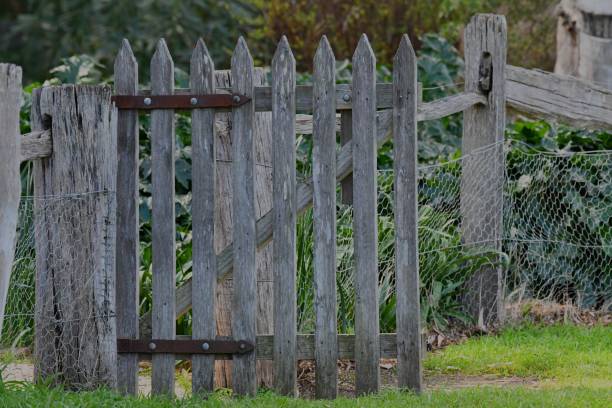 istock Old wooden fence 1635340132