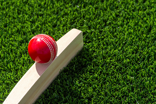 Cricket bat and red ball with natural lighting on green grass. Horizontal sport theme poster, greeting cards, headers, website and app