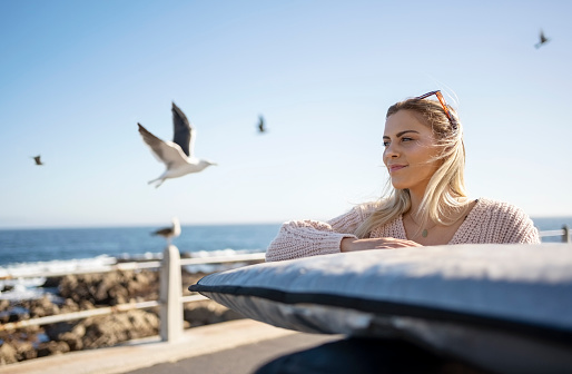 Pretty young woman standing on her car with surf board on roofrack and birds flying in background at beach promenade on a summer day