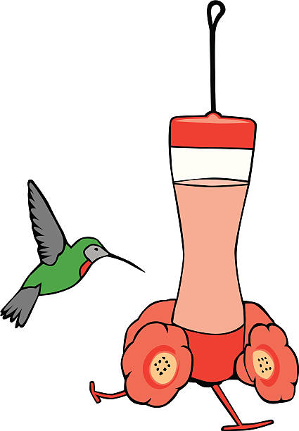 Hummingbird at a feeder vector art illustration