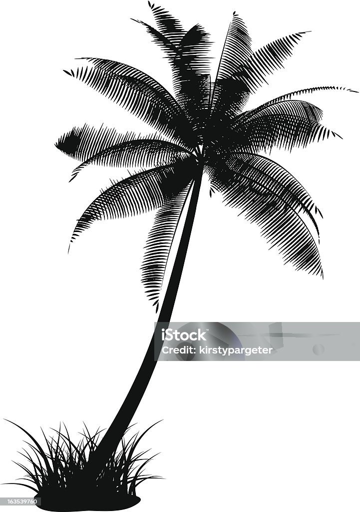 Palm tree - Lizenzfrei Baum Vektorgrafik