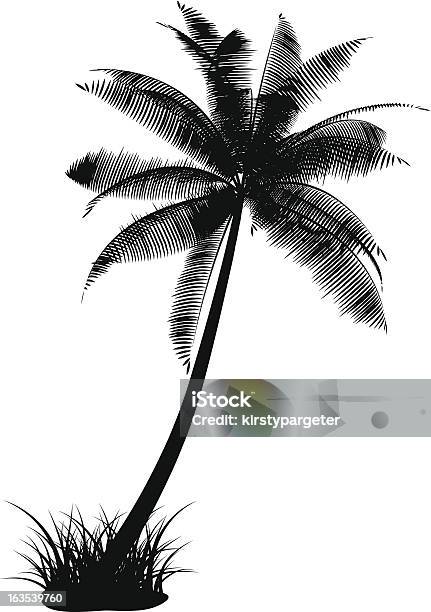 Palm Tree Stock Vektor Art und mehr Bilder von Baum - Baum, Bildhintergrund, Bildkomposition und Technik