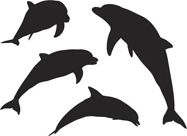 Vector illustration of Dolphin silhouettes