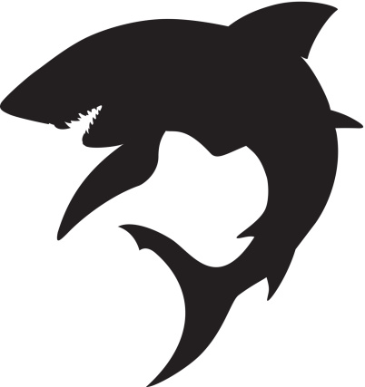 Vector illustration of a shark