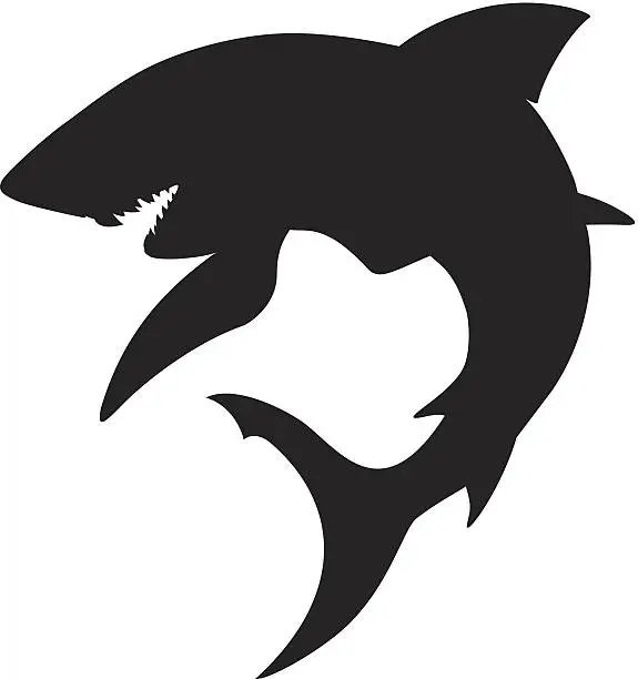 Vector illustration of Shark Silhouette