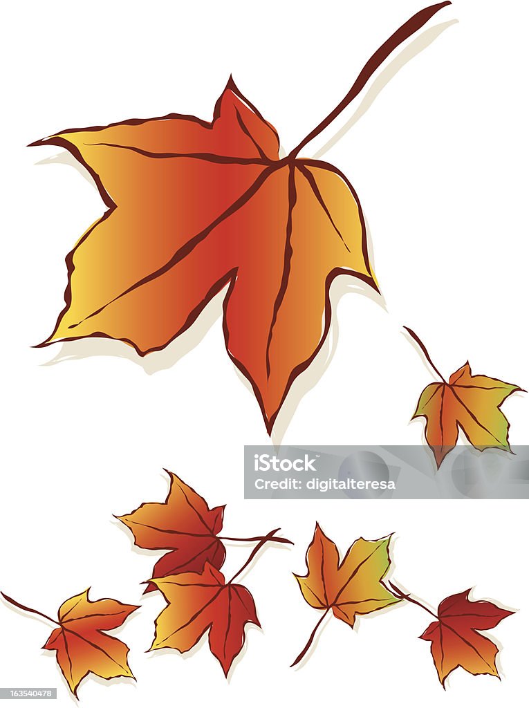 Herbstmuster - Lizenzfrei Ahornblatt Vektorgrafik