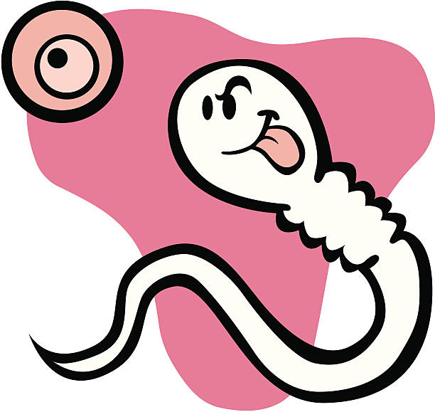 Bекторная иллюстрация Определены спермы