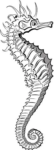 Vector illustration of Tribal Sea Horse