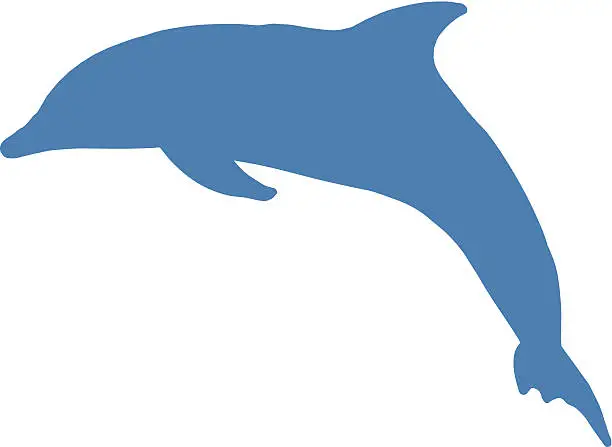 Vector illustration of Dolphin silhouette