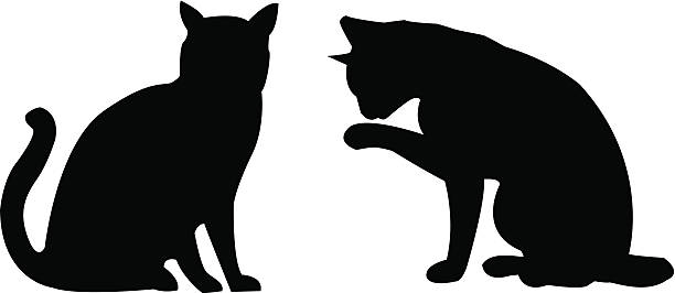 Silhouette Cats Two Vector Cats paw licking domestic animals stock illustrations