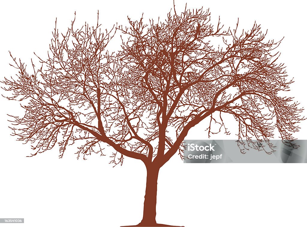 Dead Baum - Lizenzfrei Abgestorbene Pflanze Vektorgrafik