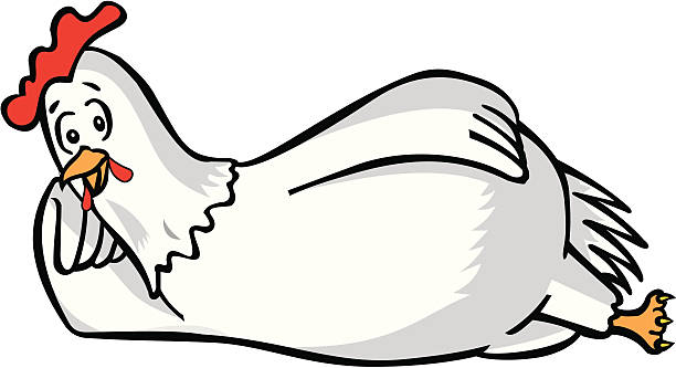 Sleep Chicken Vector vector art illustration