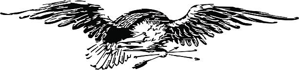 Eagle - illustrazione arte vettoriale