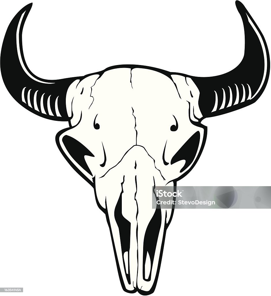 Krowa Skull2 - Grafika wektorowa royalty-free (Anatomia człowieka)