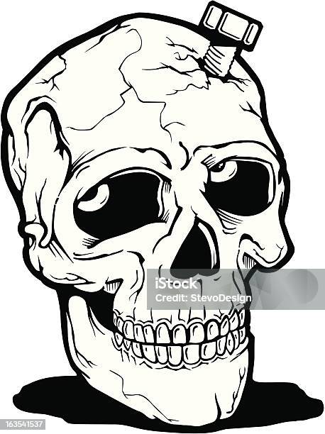 Skull1 - Stockowe grafiki wektorowe i więcej obrazów Anatomia człowieka - Anatomia człowieka, Czaszka człowieka, Czaszka zwierzęcia