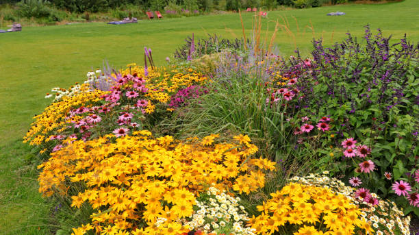 istock Colorful flowerbed in a park 1635419306