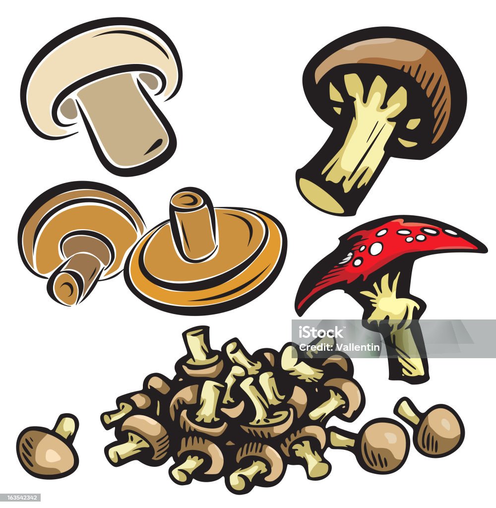 Légume Illustrations XIV: Champignons (vecteur - clipart vectoriel de Aliment libre de droits