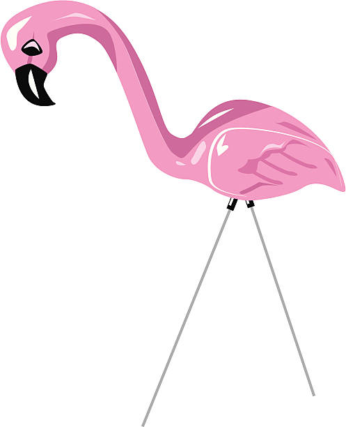 różowy flamingo - flamingo plastic flamingo florida plastic stock illustrations