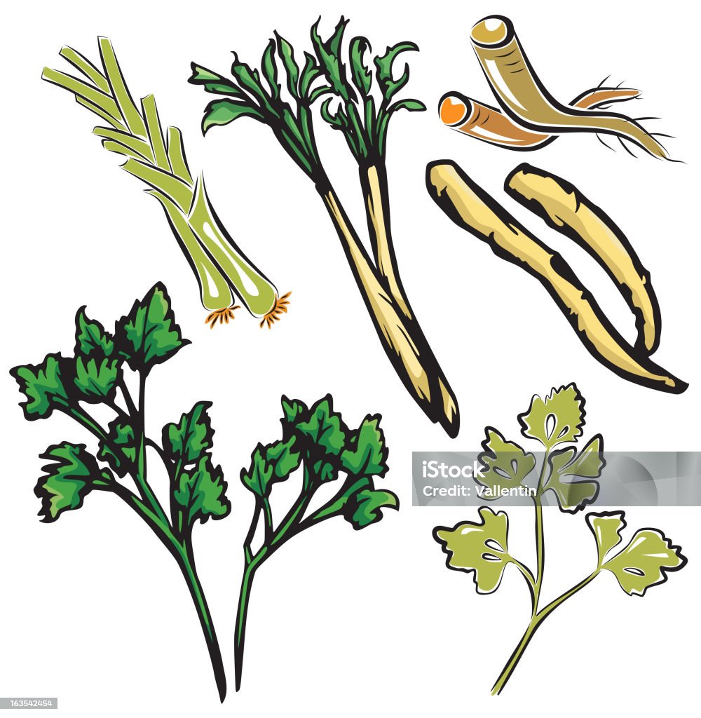 Legumes ilustrações II: Diversos (Vector - Vetor de Alho porró royalty-free