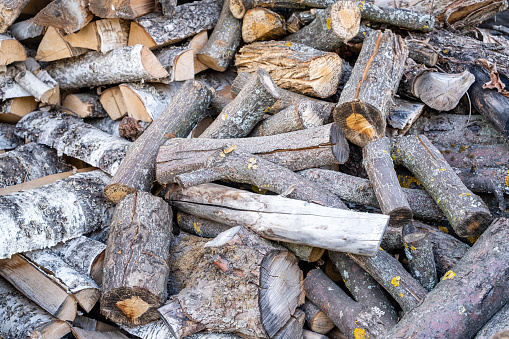 Firewood for kindling close-up, full frame, texture.