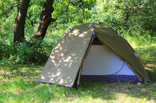 Tourist tent on meadow in forest
