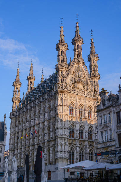 istock The Leuven Town Hall during the sunset 1635511975