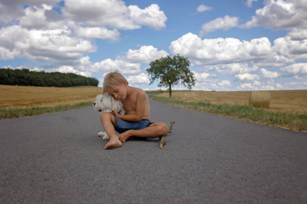 красивый белокурый ребенок, мальчик, гуляет по сельской дороге со своей милой маленькой мальтийской собачкой. удивительный пейзаж, сельска - dog walking child little boys стоковые фото и изображения