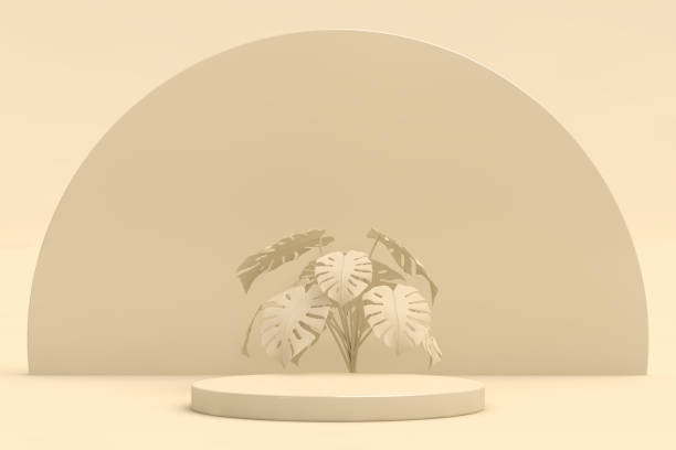 istock Abstract geometric shape, Cylinder and Torus, Design For Cosmetic Or Product Display Podium 3d Render 1635545261