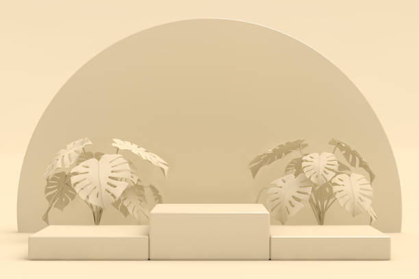 istock Abstract geometric shape, Cylinder and Torus, Design For Cosmetic Or Product Display Podium 3d Render 1635545273