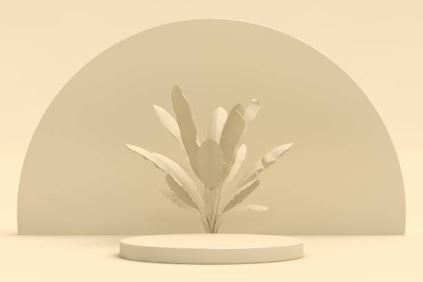 istock Abstract geometric shape, Cylinder and Torus, Design For Cosmetic Or Product Display Podium 3d Render 1635545277
