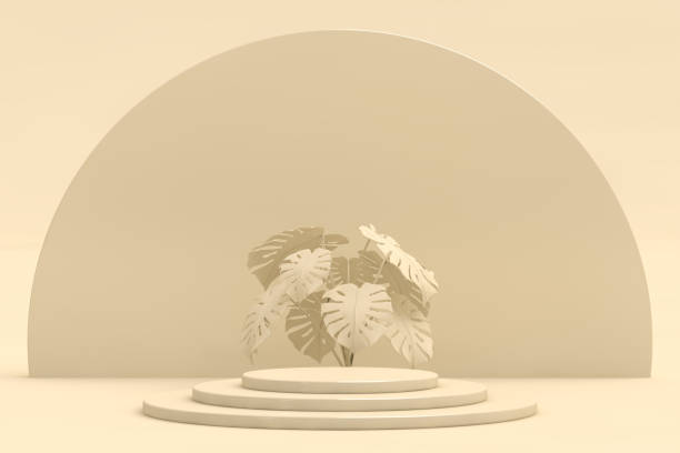 istock Abstract geometric shape, Cylinder and Torus, Design For Cosmetic Or Product Display Podium 3d Render 1635545281