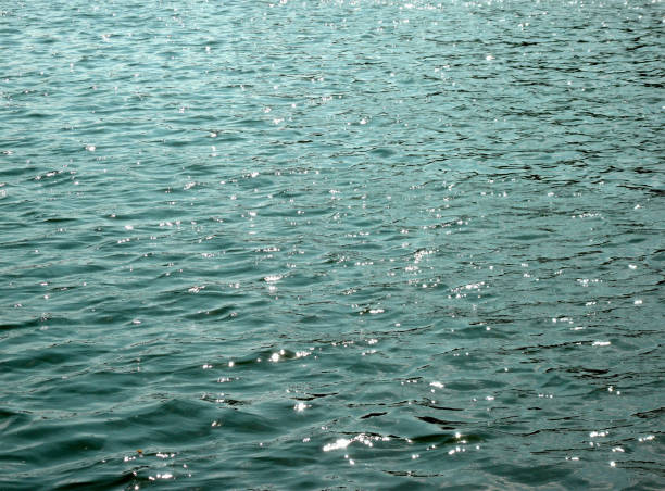 istock glare on water in city park pond 1635578827