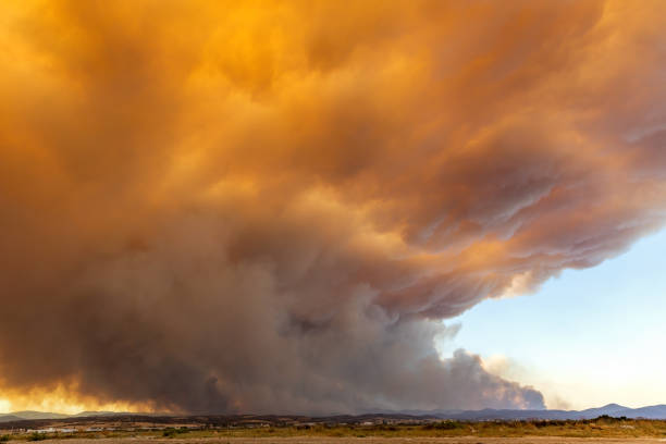 istock Devastating wildfire in Alexandroupolis Evros Greece, ecological and environmental disaster, smoke covered the sky 1635583015
