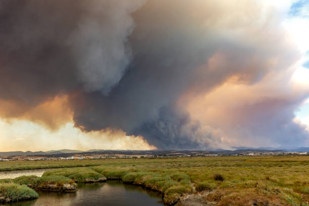 istock Devastating wildfire in Alexandroupolis Evros Greece, ecological and environmental disaster, smoke covered the sky 1635587471