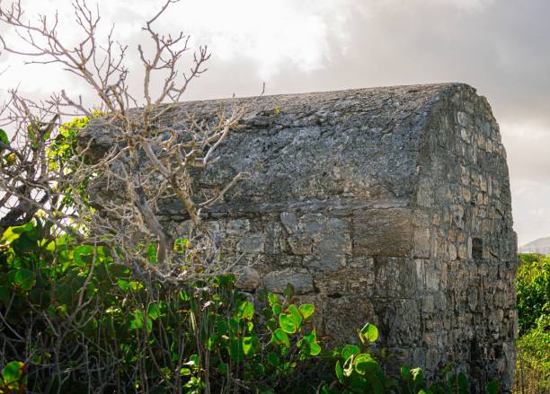 istock Classic stone building surrounded by lush greenery 1635589594