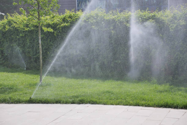 istock automatic watering grass, garden lawn sprinkler in action. 1635591173