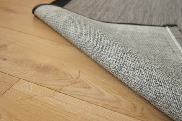 istock Seamless grey carpet texture background on wooden floor with copy space 1635595505