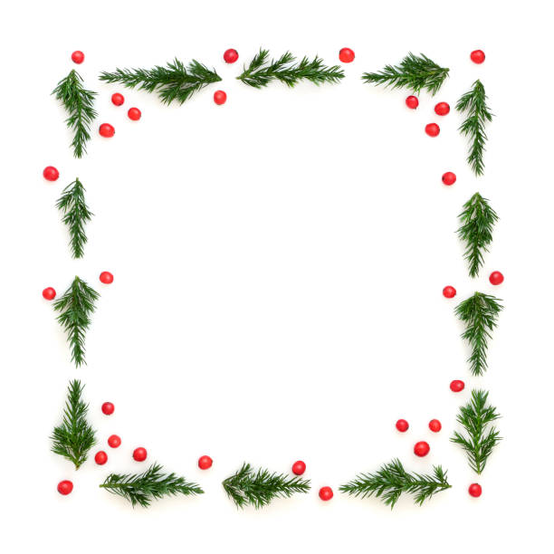 Fir and Holly Red Berry Background Christmas Winter Background