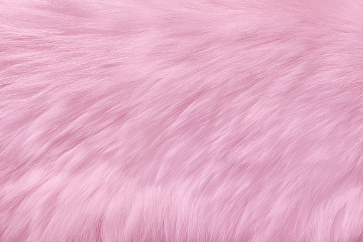 Pink fur natural texture, close-up.Useful as background