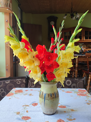 bouquet of colorful gladiolus in the clay vase