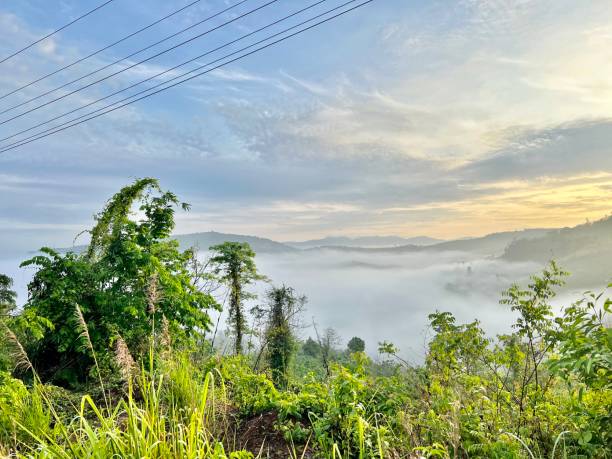 istock The morning mist of Phu Kraling 1635702313