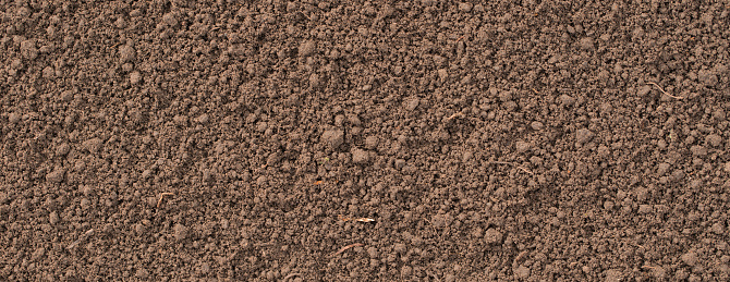 brown soil on the farm, top view. prepared humus for planting