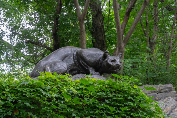 New York, USA - July 20th, 2023: A bronze mountain lion sculpture among the trees of central park, New York city.